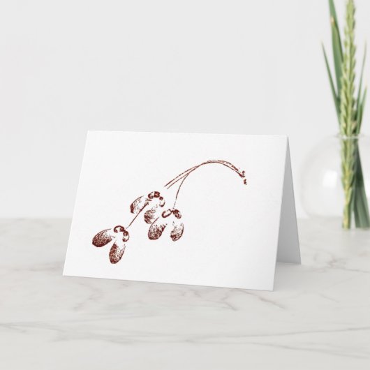 Carte de voeux pays "Graines d'érable ailées" (Devant)