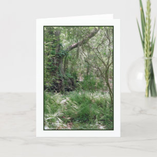 Carte de voeux Paysage Primordial