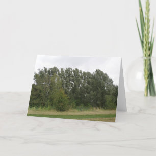 Carte de voeux paysager de la gamme d'arbres pench