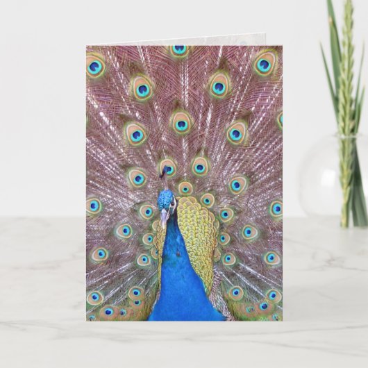 Carte de voeux Peacock (Devant)