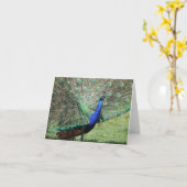 Carte de voeux Peacock (Fleur jaune)
