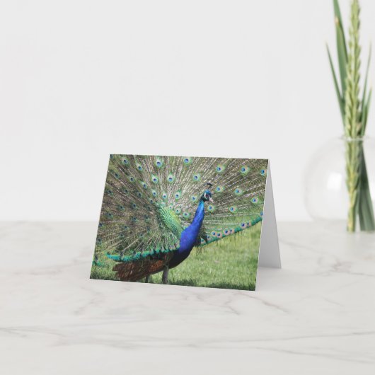 Carte de voeux Peacock (Devant)