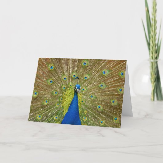Carte de voeux Peacock (Devant)