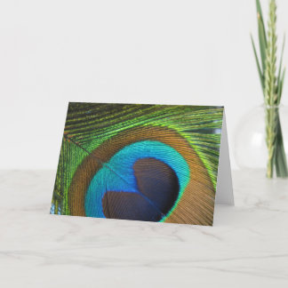 Carte de voeux Peacock Feather - vide à l'intérieu