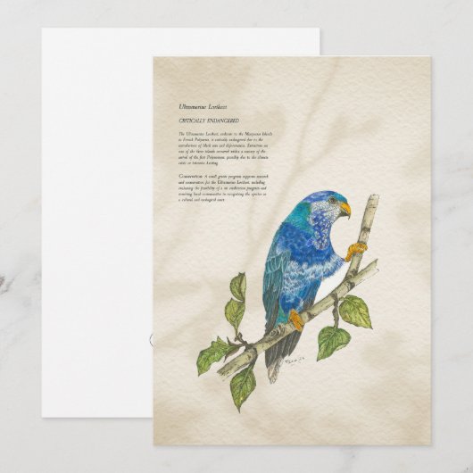 Carte de voeux Peinte à la main en voie de dispari (Devant / Derrière)