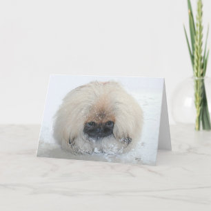Carte de voeux Pekingese