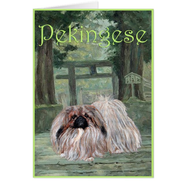 Carte de vœux Pékinois (Devant)
