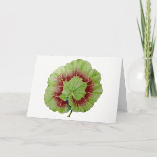 Carte de voeux Pelargonium 'Geranium Leaf'