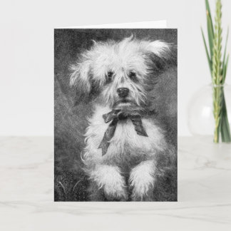 Carte de voeux pelucheuse de blanc de chien