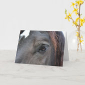Carte de voeux Percheron Horse (Fleur jaune)