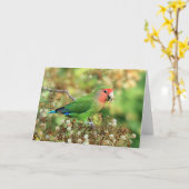 Carte de voeux - perruche Attrayant-faite face (Fleur jaune)