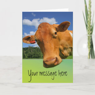 Carte de voeux personnalisable à la face de vache