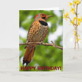 Carte de voeux personnalisable de Northern flicker (Fleur jaune)
