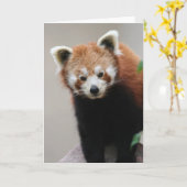 Carte de voeux personnalisable Red Panda (Fleur jaune)