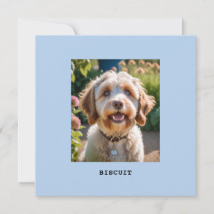 Carte de vœux personnalisée avec photo de chien ou