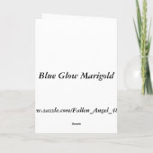 Carte de voeux personnalisée Blue Glow Marigold (Dos)