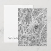 Carte de vœux personnalisée en blanc pour l'hiver  (Devant / Derrière)