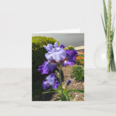 Carte de vœux personnalisée Iris à barbe violette (Devant)