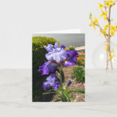 Carte de vœux personnalisée Iris à barbe violette (Fleur jaune)
