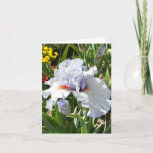 Carte de vœux personnalisée Iris Lavande