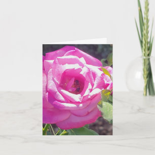 Carte de vœux personnalisée Rose rose avec une abe