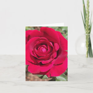 Carte de vœux personnalisée Rose Rouge