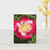 Carte de voeux personnalisée Rose rouge et jaune (Fleur jaune)