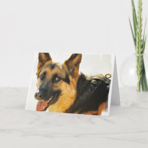 Carte de voeux photo berger allemand chien