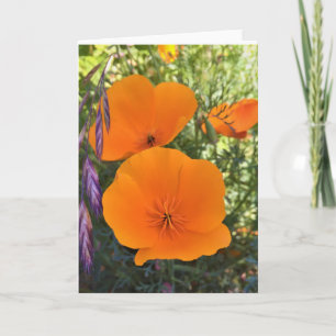 Carte de voeux photo California Poppy