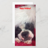 Carte de vœux photo de Boston Terrier Joyeux Noël (Devant / Derrière)
