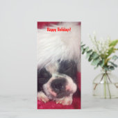 Carte de vœux photo de Boston Terrier Joyeux Noël (Debout devant)