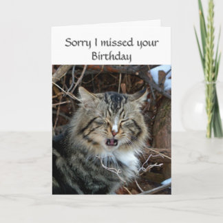 Carte de voeux photo de chat d'anniversaire manqué