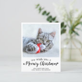 Carte de vœux photo de chat pour un joyeux Noël à (Debout devant)