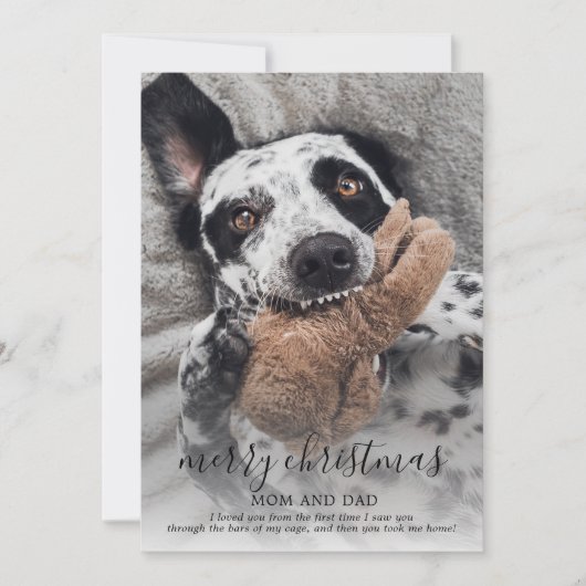 Carte de vœux photo de chien joyeux Noël de chien (Devant)
