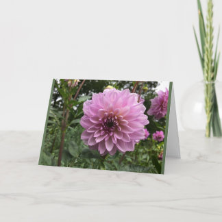 Carte de voeux photo de la relation de fleur Dahli