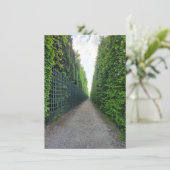 Carte de voeux photo Jardins de Versailles (Debout devant)