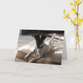 Carte de voeux photo "Joey" Smooth Fox Terrier Dog (Fleur jaune)