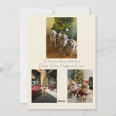 Carte de vœux photo pour les Fêtes (Dos)