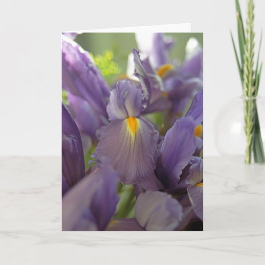 Carte de voeux photo Purple Irises (Devant)