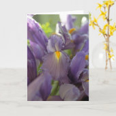Carte de voeux photo Purple Irises (Fleur jaune)