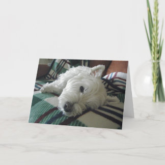Carte de voeux photo Sleepy Sofa Westie
