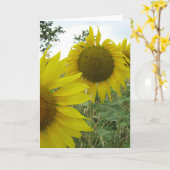 Carte de voeux photo Sunflower, Standard (Fleur jaune)
