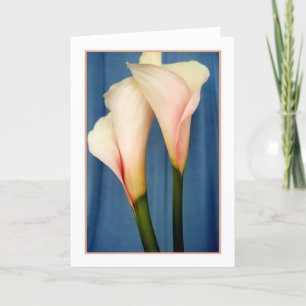Carte de voeux photo Tango Calla Lily