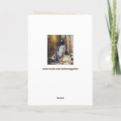 carte de voeux pingouin solitaire (Dos)