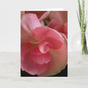 Carte de voeux Pink Begonias, Peinture numérique