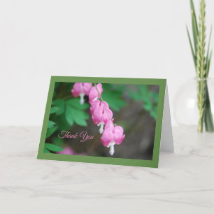 Carte de voeux Pink Bleeding Hearts