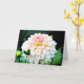 Carte de voeux Pink Dahlia (Fleur jaune)
