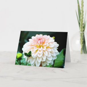Carte de voeux Pink Dahlia