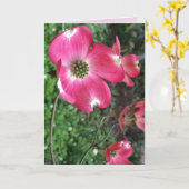 Carte de voeux Pink Dogwood (Fleur jaune)