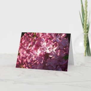 Carte de voeux Pink Lilacs